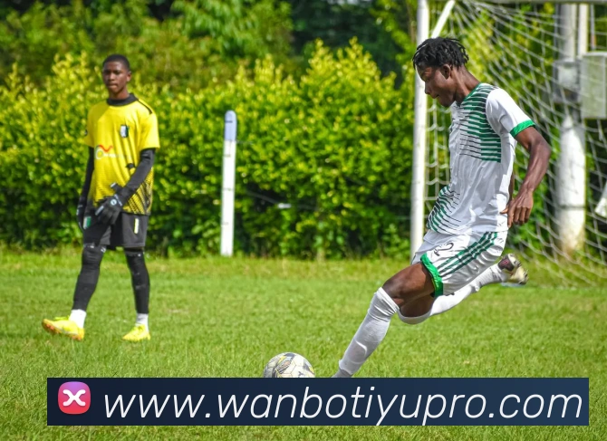 App Interface Preview